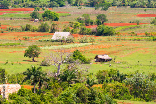 View of the Los Acuaticos, Vinales, Pinar del Rio, Cuba. Copy space for text. photo