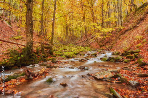 Fototapeta Naklejka Na Ścianę i Meble -  autumn stream in the forest, gold autumn European landscape