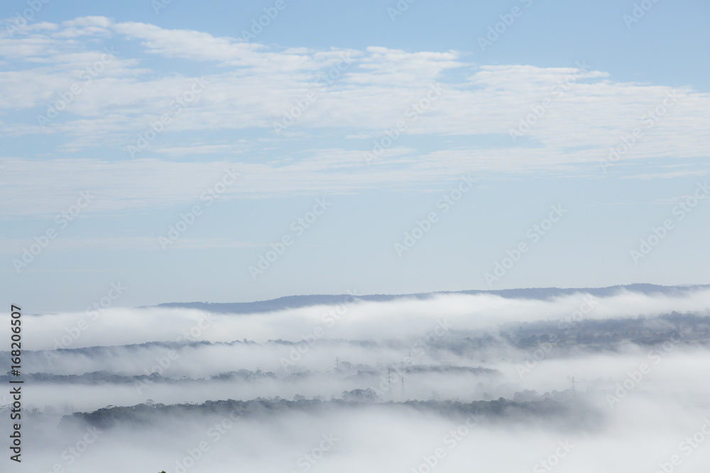 Misty Landscape on Early Morning Misty Landscape on Early Morning