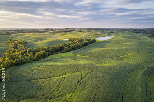 green soybean fields in Missouri aerial view