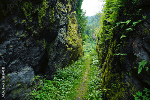 Fototapeta Naklejka Na Ścianę i Meble -  Hiking trail through steep cliffs / valley / canyon