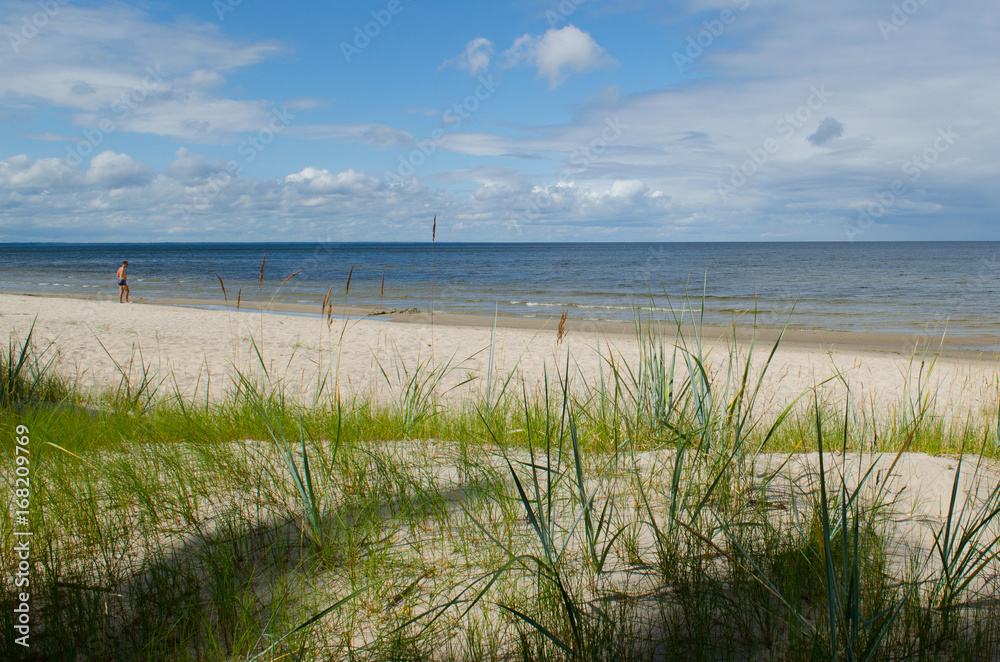 Grass and dune beach Baltic sea view, Latvia. Grass and dune beach Baltic sea view, Latvia.