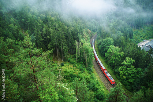 Train in Black Forest covered in soft clouds