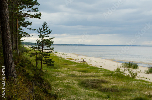 Beautiful view of Baltic sea coast  and sky from pine  forest before rain.