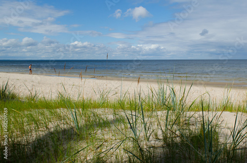 Grass and dune beach Baltic sea view, Latvia.