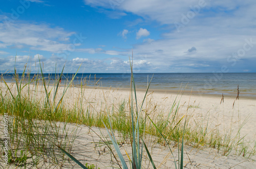 Grass and dune beach Baltic sea view  Latvia.