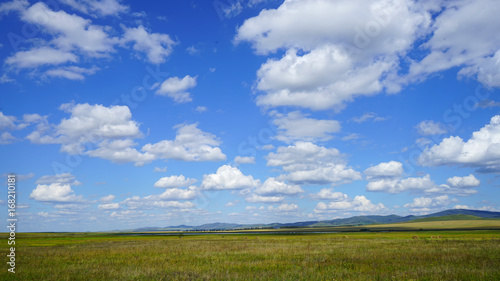 Siberia steppes in the summer