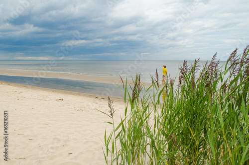 Baltic Sea Beach  on Sunny Day with Clouds and Plants on Foreground