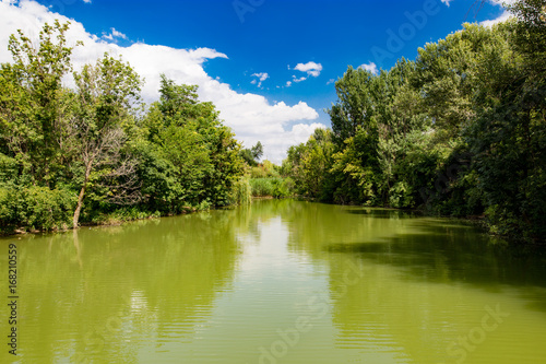 Beautiful lake with trees on the shore