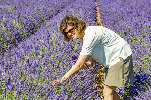 Fototapeta Naklejka Na Ścianę i Meble -  Woman in blooming lavender field
