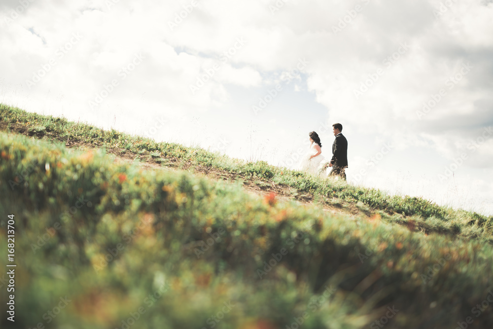 Fototapeta premium Kissing wedding couple staying over beautiful landscape