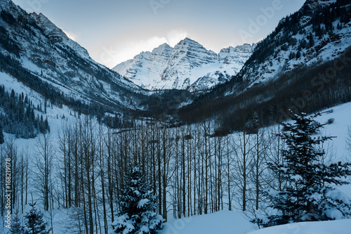 Maroon bell in winter