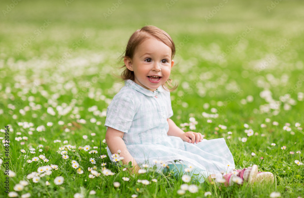 happy baby girl on green summer field happy baby girl on green summer field