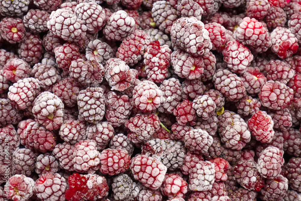 Frozen Boysenberry closeup, frosted Frozen Boysenberry closeup, frosted