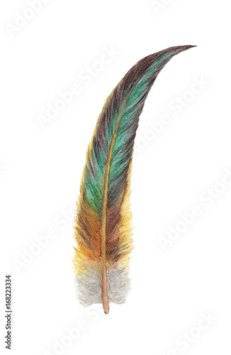 Hand drawn watercolor paintings vibrant feather. Boho style wings. illustration isolated on white. Bird fly design for T-shirt, invitation, wedding card.Rustic Bright colors.
