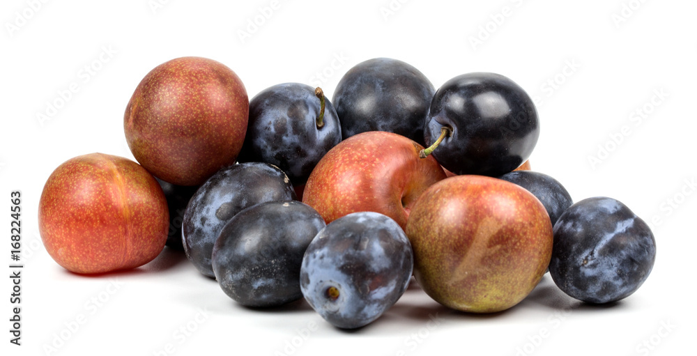 Plums isolated Plums isolated