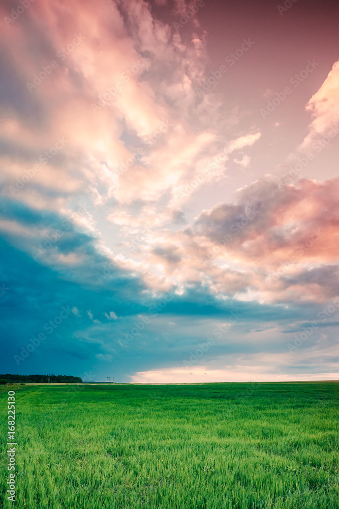 Rural Field Landscape Under Scenic Spring Blue Cloudy Dramatic Sky Rural Field Landscape Under Scenic Spring Blue Cloudy Dramatic Sky