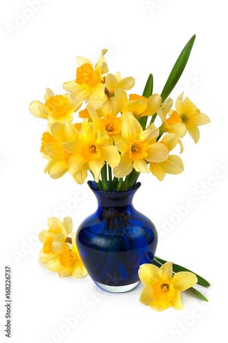 A bouquet of narcissus in a blue glass vase