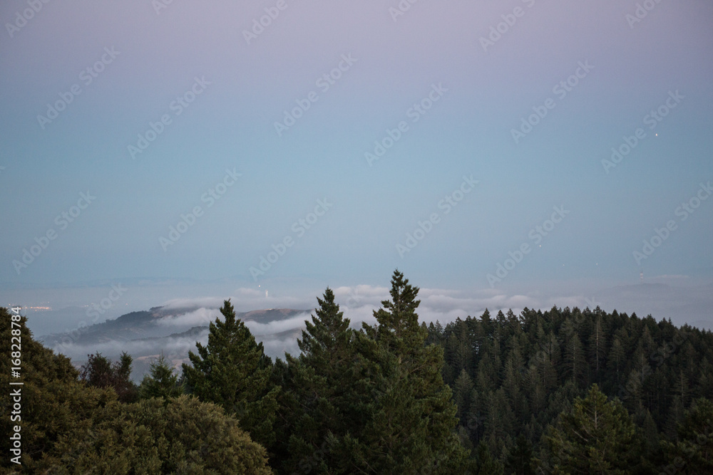 mount tam