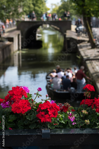 Flowers on the canal at Edam, Netherlands