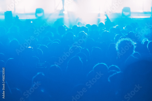 Crowd of people at the concert