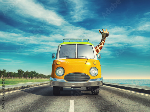 Giraffe driving a car