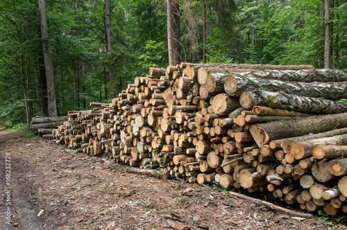 Background stack of logs in the forest, side view.