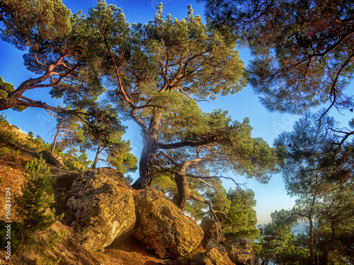 Crimea eyes of the traveler.