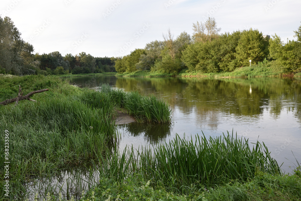 Krajobraz z nad rzeki ,panorama Krajobraz z nad rzeki ,panorama