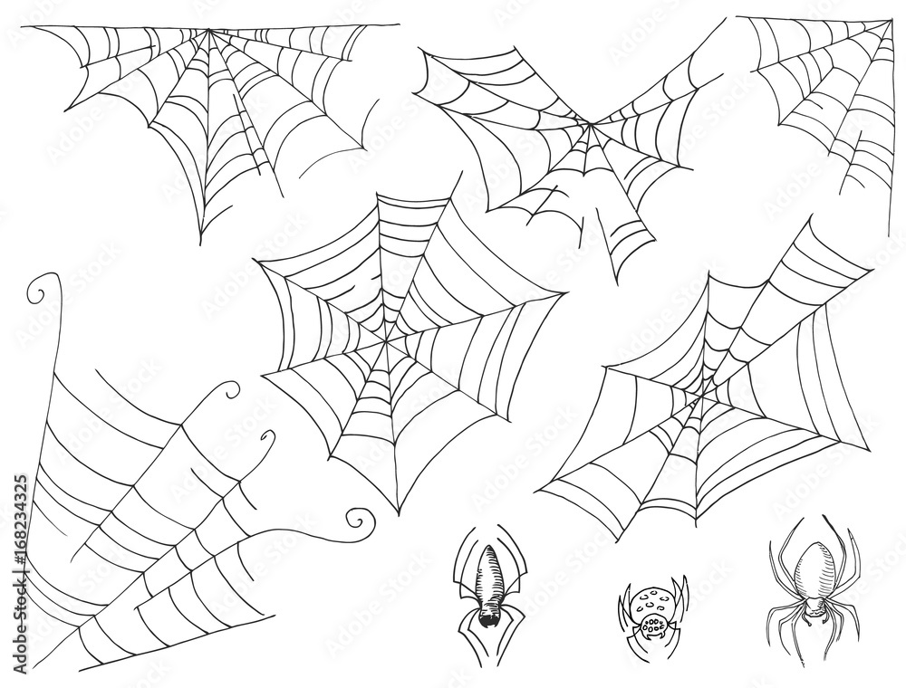 Set of cobwebs and spiders Sketch marker. Vector
