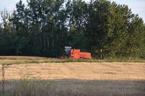 Mszyny rolne pracujace na polu,zniwa