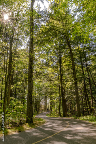 Bikepath at Afternoon