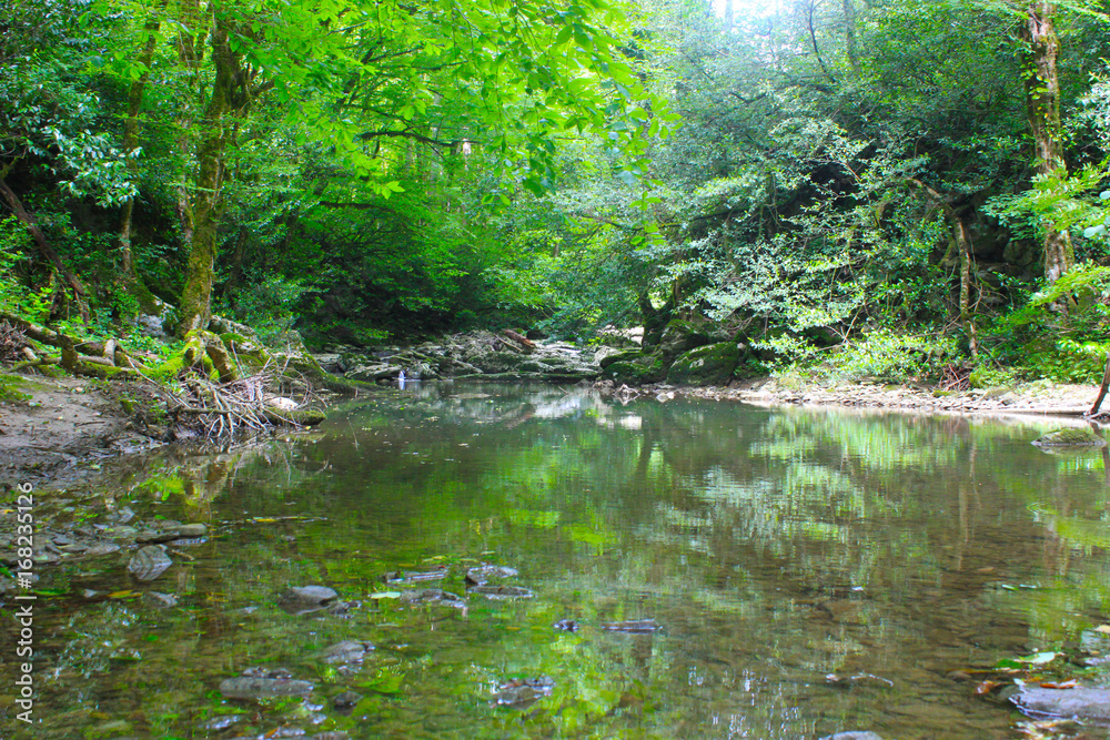 river river