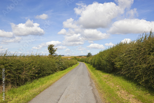 country road and hedgerows