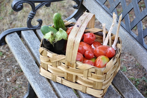 vegetables basket photo