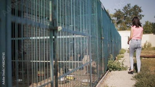 Girl volunteer in the nursery for dogs. Shelter for stray dogs. photo