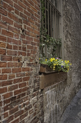 Flower Bed on Brick Building