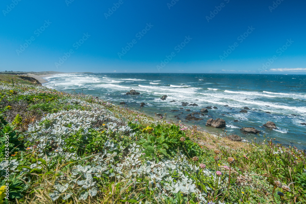 View of the beach from the cliff. Beautiful blue sea. Incredible landscape of the coast. Sonoma Coast State Park, California, USA View of the beach from the cliff. Beautiful blue sea. Incredible landscape of the coast. Sonoma Coast State Park, California, USA