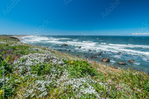 View of the beach from the cliff. Beautiful blue sea. Incredible landscape of the coast. Sonoma Coast State Park, California, USA