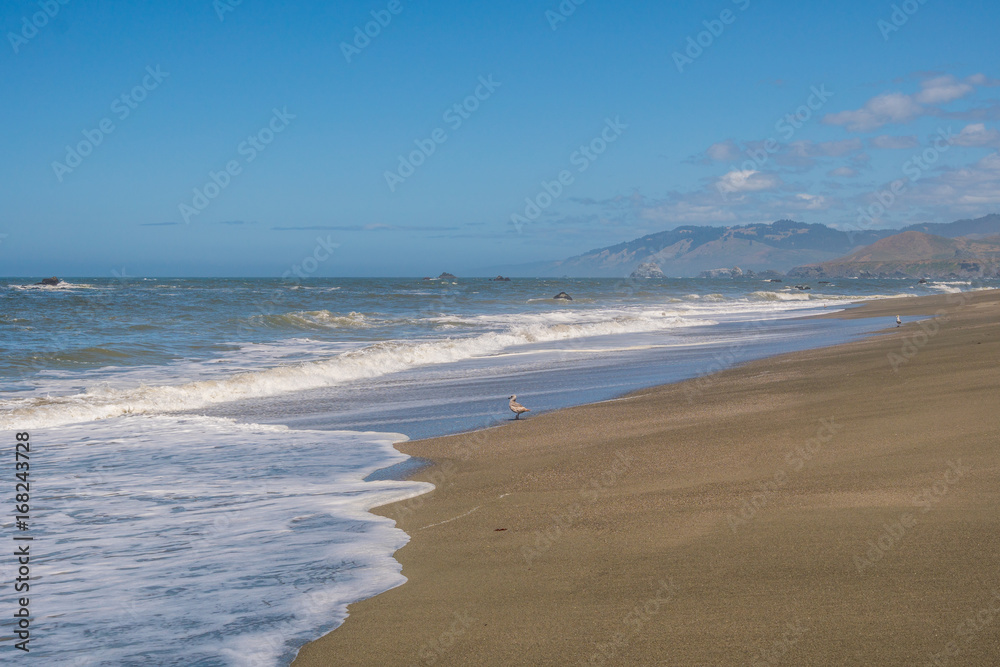 A huge sandy beach with large stones. Sonoma Coast State Park, California, USA