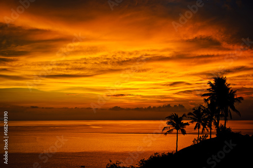 Silhouettes of palm trees, bright yellow clouds, romantic beach on a tropical island during sunset.