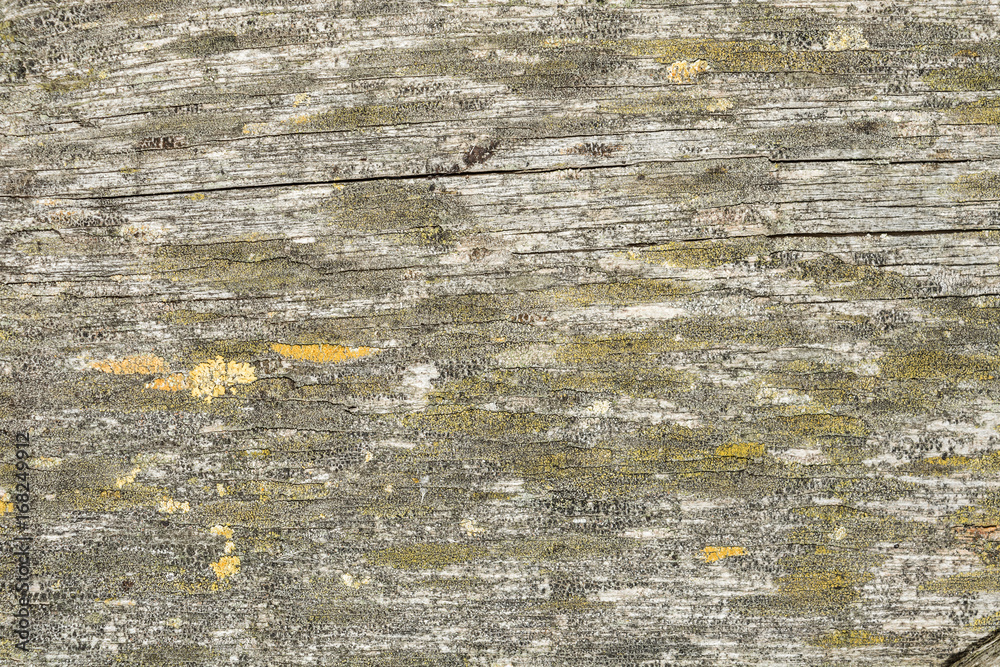 Dark texture of old natural wood with cracks from exposure to sun and wind Dark texture of old natural wood with cracks from exposure to sun and wind