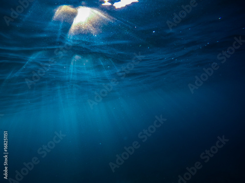 Fototapeta Naklejka Na Ścianę i Meble -  Underwater