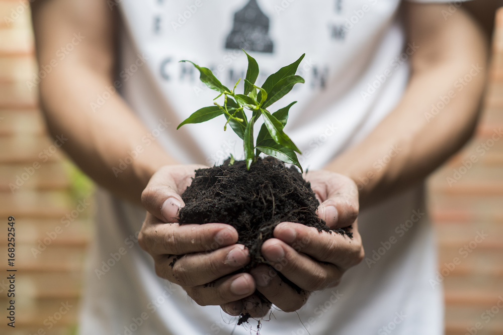 Human hand planting a tree on white background, Save earth concept Human hand planting a tree on white background, Save earth concept