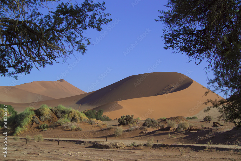 Naklejka premium Namibia, Sossusvlei, Namibwüste, Sand, Hitze
