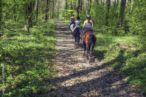 Young girls riding on horseback through the forest © eyecon