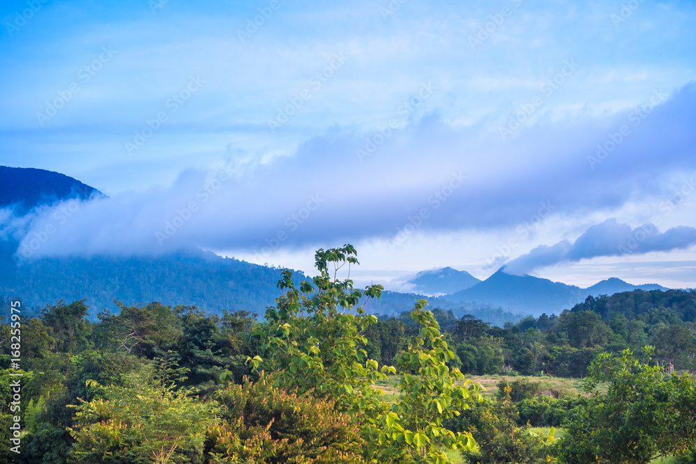 Obraz premium Clouds drifting over forests and mountains
