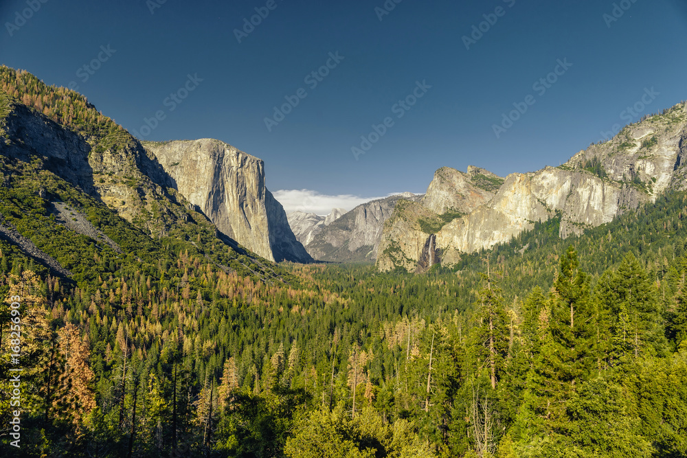 Yosemite National Park Valley from Tunnel View
