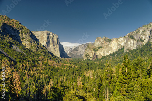 Yosemite National Park Valley from Tunnel View