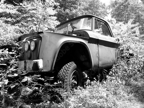 Old Pickup Truck Consumed by Nature Black and White